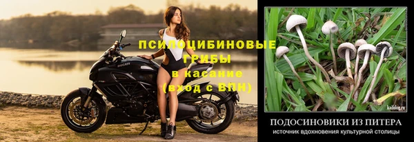 соль курить ск Алзамай