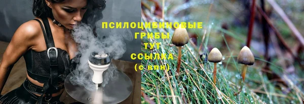 а пвп мука Абаза