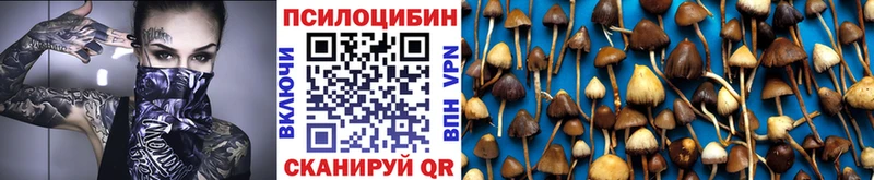 blacksprut tor  Тетюши  Псилоцибиновые грибы Psilocybe 